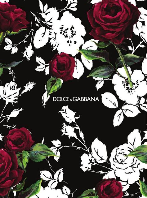 [100+] Dolce And Gabbana Wallpapers 